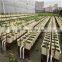 Agriculture Dutch Bucket for Hydroponics Systems