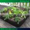 Square fabric vegetable plant pot
