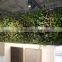 factory price natural looking artificial plant wall, vertical artificial green wall,indoor or outdoor