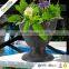 Fiber Pot For Wholesales