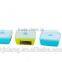 On the Go Plastic Sandwich Box With Cooler/ Plastic Sandwich Container on the Go With Cooler