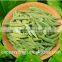 Hot-sale Loose Tea, Bai Hao Yinzhen Silver Needle White Tea
