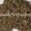 2014 crop organic hemp seeds