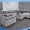 Hospital Laboratory Furniture Dental Lab Work Station Lab Work Table