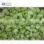 Sinocharm Bulk Green Frozen Broad Bean IQF Broad Fava Bean