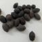 New harvested natural mixed colors dried black whole lotus seeds for planting