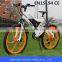 25015 best popular electric bike 36v elctric bike with li ion battery