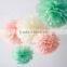 Tissue Paper Pom Poms Wedding Party Decor Craft Paper Flower For Wedding Decoration                        
                                                Quality Choice