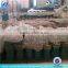 water pump powerful electric/electric water pump machine/electric water lifting pump