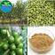 2015 China Manufacturer Organic Green Coffee Bean Extract, Green Coffee Bean Extract Powder, Pure Green Coffee Bean Extract