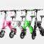 new products 2016 EcoRider lithium battery folding e bike, folding electric bike, mini bicycle, foldable ebike 250W                        
                                                Quality Choice