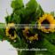 Various Classical Peonies Cut Flowers Sunflower From Kunming,China