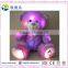Lavender Bear Colorful Shining Led Light Recording Teddy Bear Plush Toy