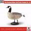 Customized all kinds of used duck decoys