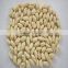 China Blanched Peanut kernels in long shape best price