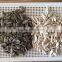 We Supply Varied Roasted salted sunflower seeds with good quality