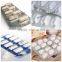 DPP-80A Pharmaceutical Alu Alu Blister Packing Machine