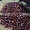 Chinese Adzuki Beans for Europ