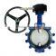 Gear operated wafer butterfly valve