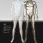 RH-068 Bright Headless Men Mannequin 180cm High Quality #191 Fibreglass Mannequin no Head Male Mannequin 2015 New
