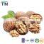 TTN wholesale buy shelled walnuts for sell