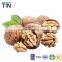 TTN Chinese Organic Raw Walnuts in Shell Price Walnut