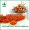 Factory direct provide health care food seabuckthorn fruit oil capsules