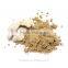 Manufacturer Supply Organic Dry Ginger Powder