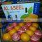modern Citrus fruits Lemons and Oranges from Egypt.