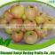 2015 China Fresh Gala Apple for Wholesale ( Red Apple and Green Apple )