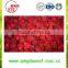 Bulk Hot sale export frozen IQF fresh strawberry