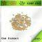 Oat Extract Beta Glucan Powder