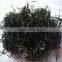 2016 China newly dried shredded laminaria seaweed