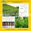 GMP factory supply Health Green Tea Extract Powder EGCG