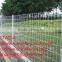 Double wire edges fence