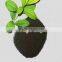 foliage spray top dressing humic acid granule fertilizer