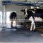 Stable Rubber Mats/sheet/roll for cattle,horse,pig,sheep(Rubber Mat-06)
