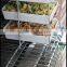 Cooker Oven Grill Shelf for Sale