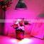 VANQLED led flowering light,grow light for edelweiss,18w E27 led flowers lights