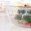 Apple Design Set 5 Engraving Large Cleat Decorative Glass Salad Bowls