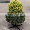 Artificial green topiary grass animal sculpture plant for decoration