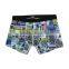 2016 Boy Model Underwear & Boy Boxer Briefs With Cool Printing