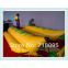 0.6mm PVC , 6m, tube 65cm, inflatable banana boat