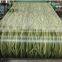 PPGI Prepainted Steel Coils for Building Material