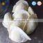 Automatic Dumpling Making Machine for Small Business
