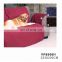 Customized Luxury Pet Sofa Cover Stretch