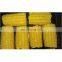 NON GMO Length 3-5cm 6-8cm IQF Frozen Sweet Corn Cut