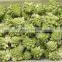 Sinocharm Frozen vegetables To Quality New Season fresh and insect free  A Approved IQF Frozen Romanesco