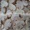 Top Quality Frozen mushrooms Slices  champignon nameko edulis bolitus