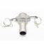 Sanitary Stainless Steel Type C Cam And Groove Coupler X Hose Barb